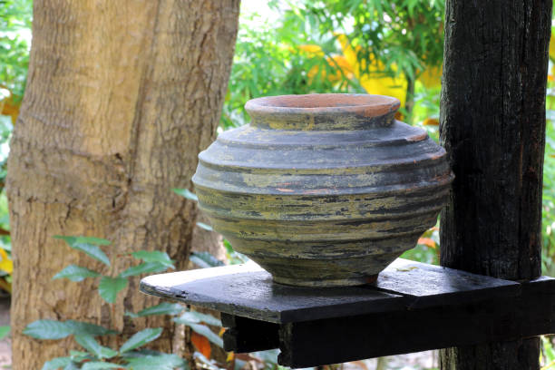 istock old clay pot in the garden background 1148740904