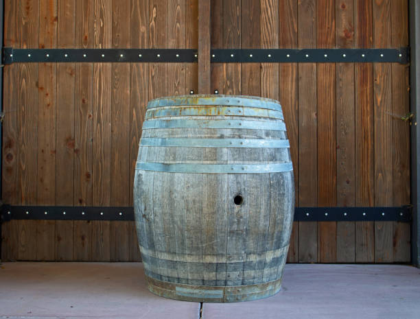 tambor de vinho - lens barrel - fotografias e filmes do acervo