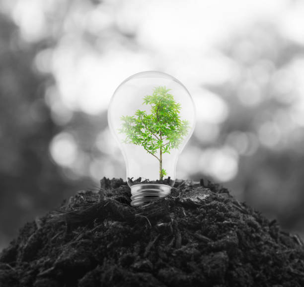 istock Ecological power and energy concept 1148746934
