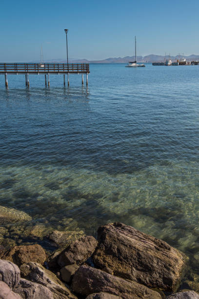 peacefull e mar transparente do baja do la paz, méxico - peacefull - fotografias e filmes do acervo