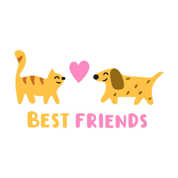 Cute Cat And Dog Best Friends Funny Quote Stock Illustration - Download  Image Now - Eternity, Friendship, T-Shirt - iStock