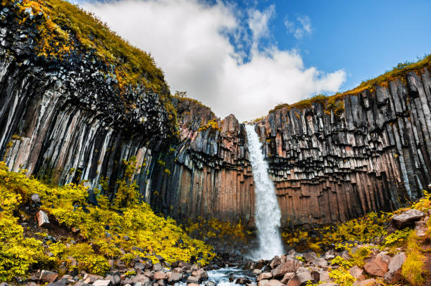 Svartifoss waterfall in Skaftafell national park, southern Iceland. Beautiful autumn landscape
