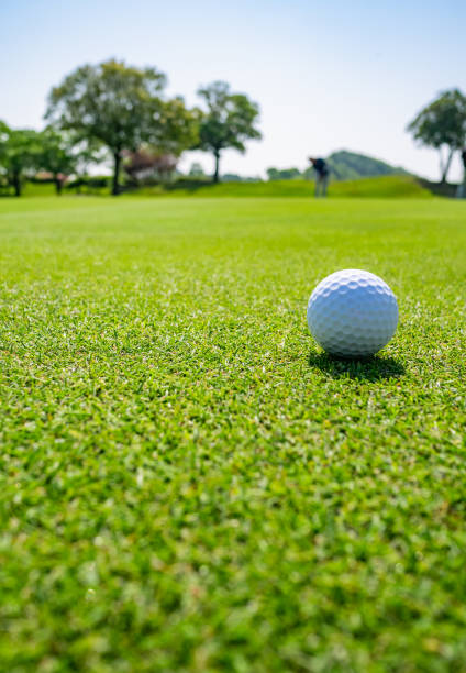 istock Golf Course where the turf is beautiful and Golf Ball on fairway. Golf course with a rich green turf beautiful scenery. 1148753923