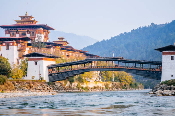 Punakha Dzong and the Mo Chhu Punakha Dzong is arguably the most beautiful dzong in the country, monastery religion spirituality river stock pictures, royalty-free photos & images