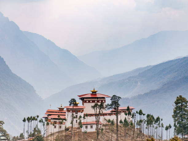 Gasa monastery or dzong with valley background Gasa monastery or dzong with valley background bhutan stock pictures, royalty-free photos & images