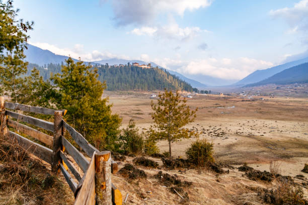 istock Phobjikha valley landscape with houses and fallow fields 1148755263