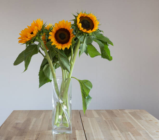 istock Sunflowers in a vase. 1148757108