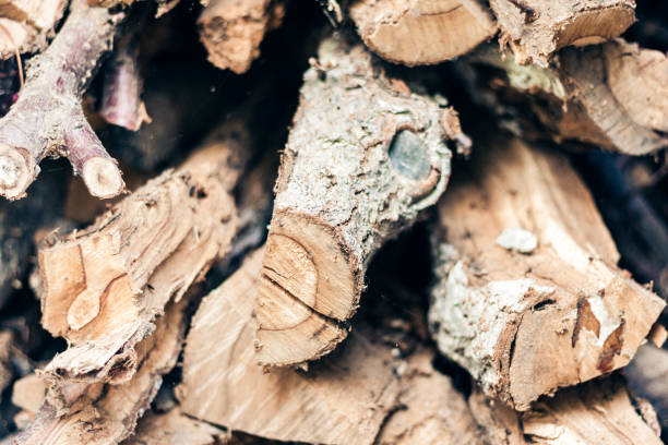 istock Dry cut logs firewood, wood for home heating 1148757349