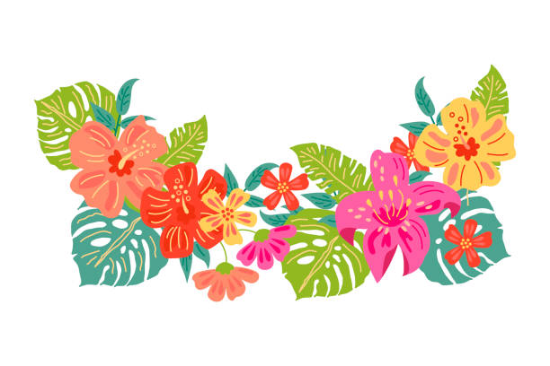 ÐÑÐ½Ð¾Ð²Ð½ÑÐµ RGB Tropical exotic flowers and leaves. Hand drawn sketch style vector illustration isolated on white background. Flat style design element for poster, banner, party invitation, summer concept. banana borders stock illustrations