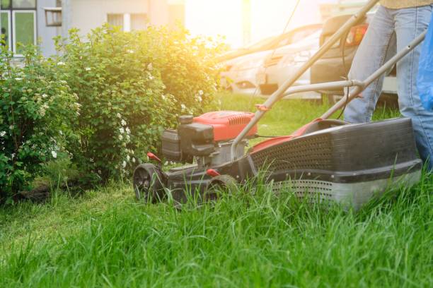 istock Lawn mower cutting green grass, gardener with lawnmower working 1148758769