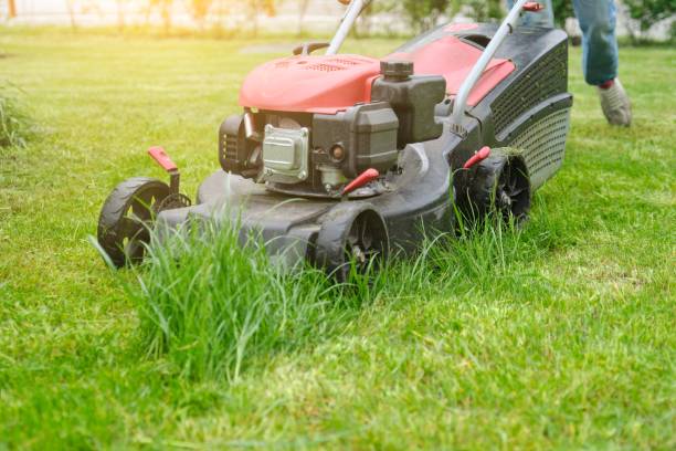 istock Lawn mower cutting green grass, gardener with lawnmower working 1148758883