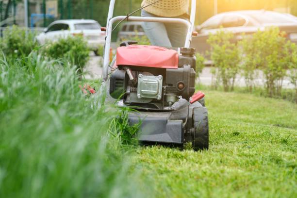 istock Lawn mower cutting green grass, gardener with lawnmower working 1148758949