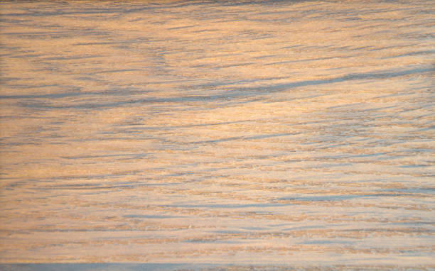 istock Natural dark wood, drawing on a cut. Background, texture Close-up. 1148758986