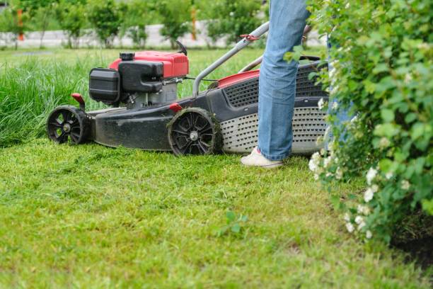 istock Lawn mower cutting green grass, gardener with lawnmower working 1148758989