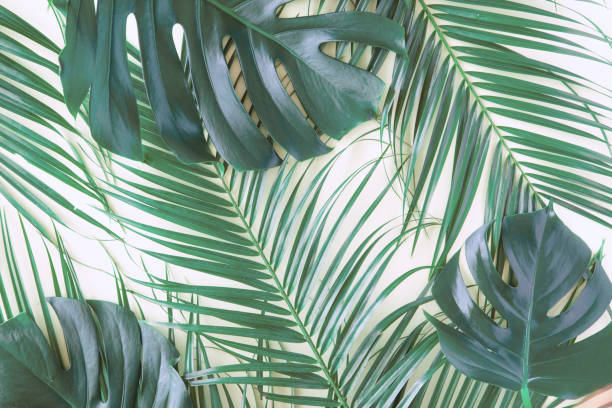 istock Tropical palm leaves on green background. Flat lay, top view 1148759070