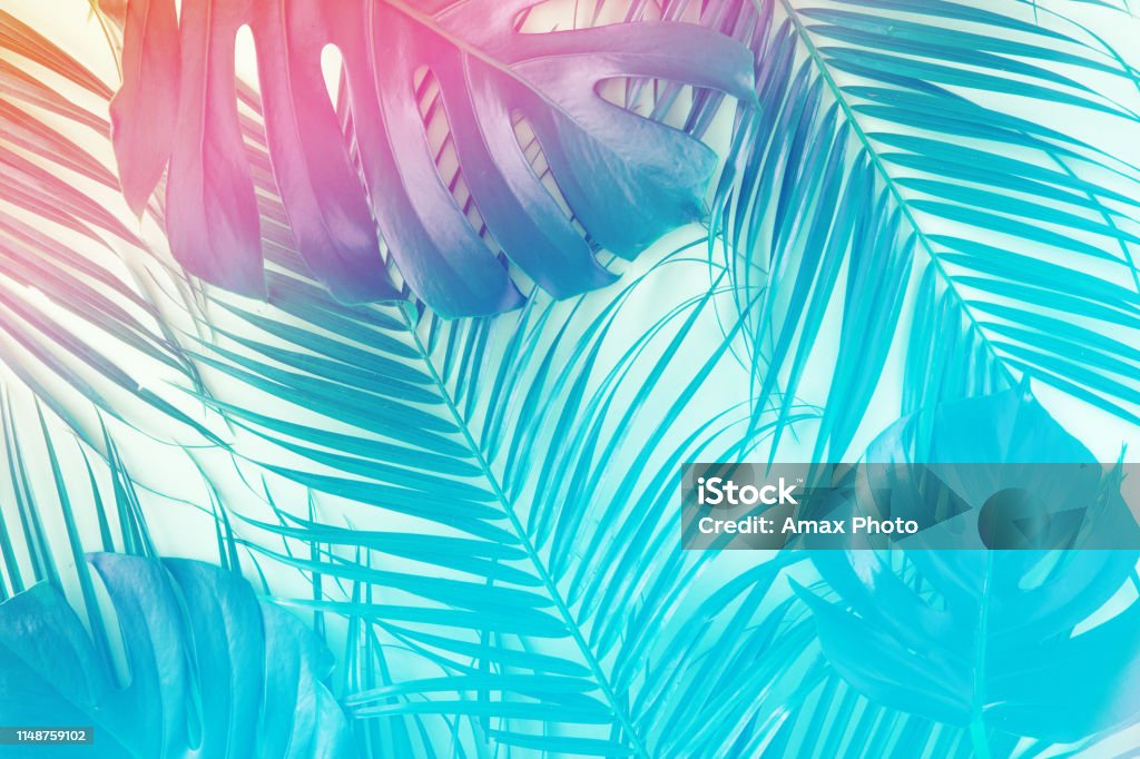 Hojas tropicales y palmeras en vibrantes colores holográficos degradados. Concepto de surrealismo de arte minimalista. - Foto de stock de Fondos libre de derechos