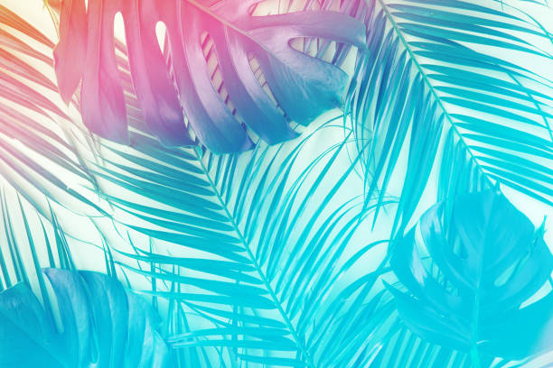 tropical et feuilles de palmier dans les couleurs éclatantes de gradient holographique. concept de surréalisme d’art minimal. - couleur panachée photos et images de collection