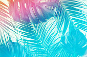Tropical and palm leaves in vibrant gradient holographic colors. Minimal art surrealism concept.