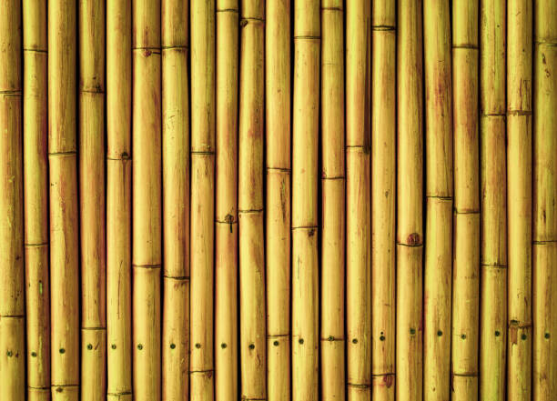 istock old brown tone bamboo plank fence texture for background 1148759891