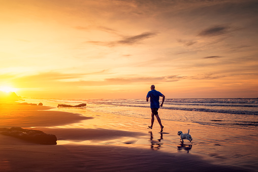 Adult man and small maltese dog are running at the beach in sunset time