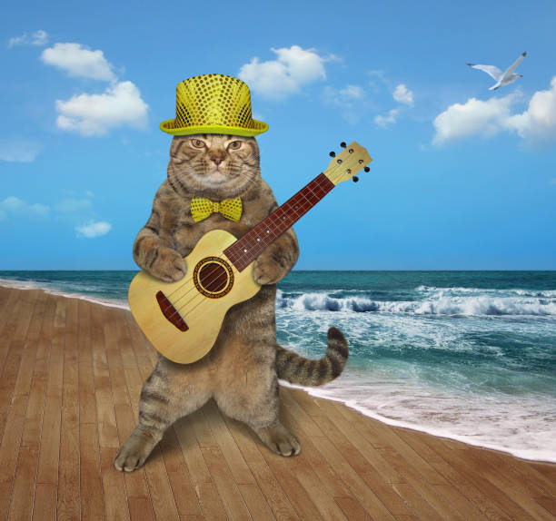 istock Cat plays the guitar on the shore 1148763309