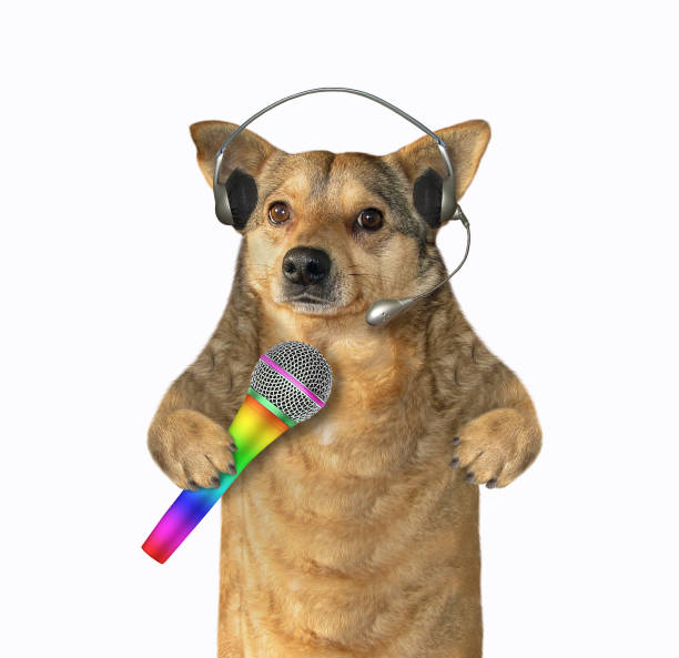 istock Dog in headphones singing 1148763310