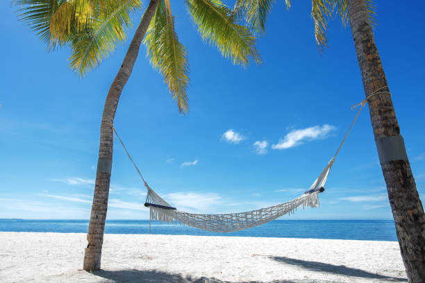 istock Tropical Paradise Beach Relaxation Concept 1148765061