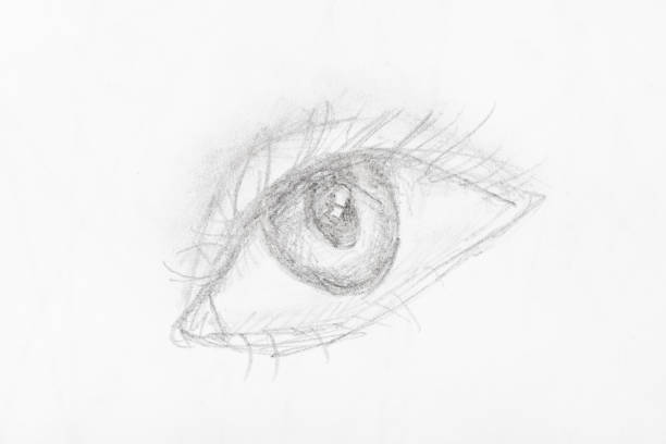 istock sketch of human eye hand drawn by lead pencil 1148768209
