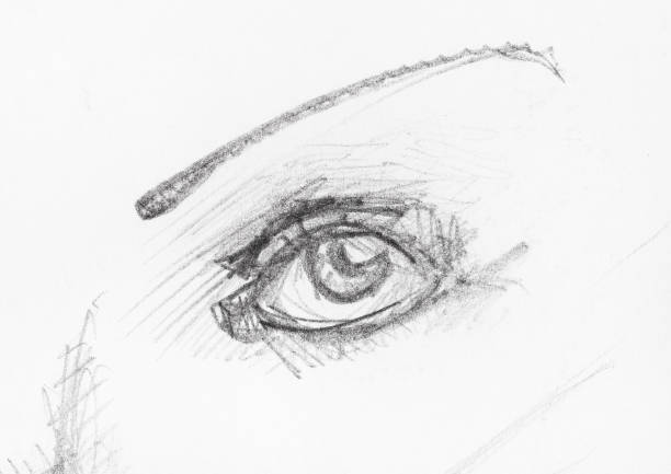 istock sketch of human eye and narrow eyebrow by pencil 1148768210