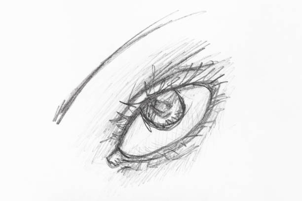 istock sketch of female eye hand drawn by black pencil 1148768217