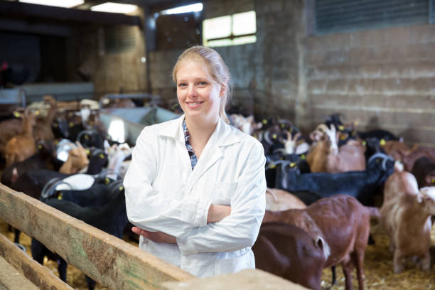 istock Female veterinarian on goat farm 1148776529