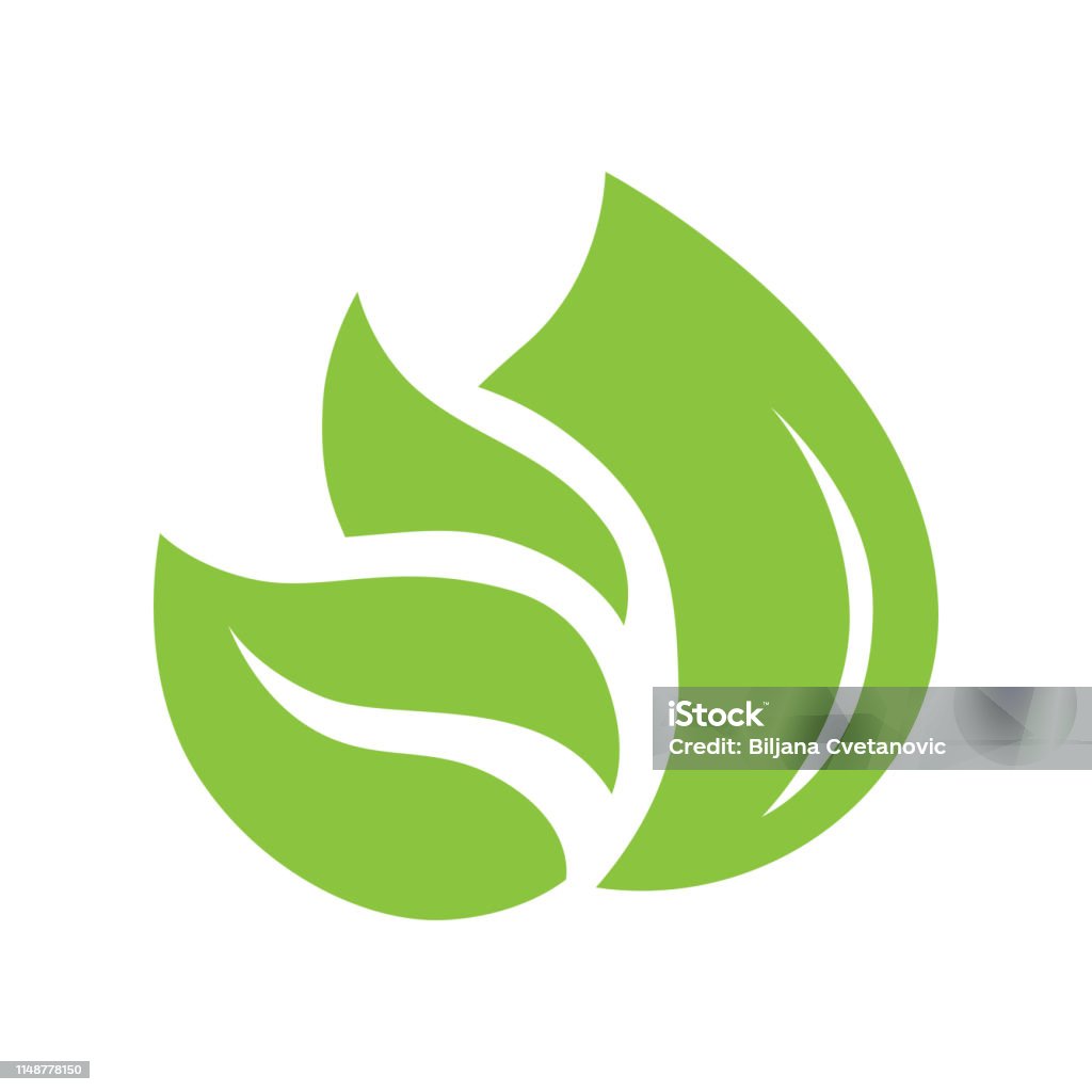 Leave Drop Vectordraw Drop And Leaves Stock Illustration - Download Image Now - Agriculture ...