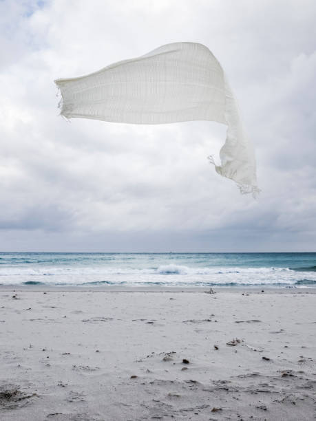 Am Strand von Hvidbjerg in Dänemark