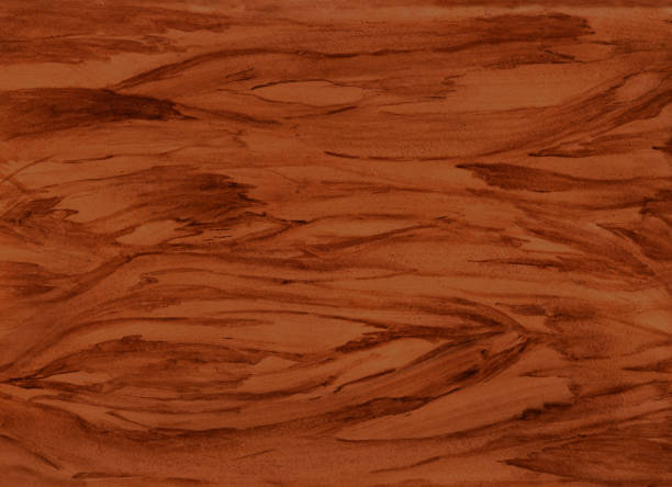 나무 배경, 나무 질감입니다. 수채화 - bark backgrounds textured wood grain stock illustrations