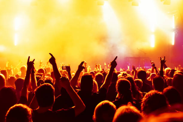 istock Crowd At Music Concert During Night 1148785552