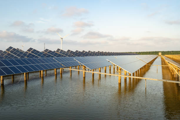 istock Solar panels, clean energy in nature 1148785910