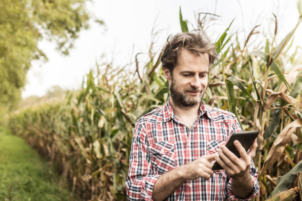 istock Farmer working on (using) tablet in front of corn field 1148787070