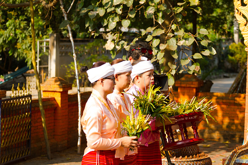 Three thai women with white headscarfs and traditional local fashion are standing in a  row. They are holding flowers in their hands. Scene is in Sun-Phan Tong in Chiang Mai province.