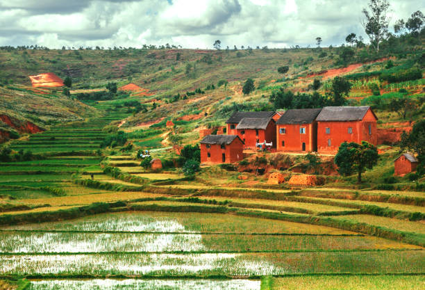 paisaje con los arrozales, madagascar - photography cloud plantation plant fotografías e imágenes de stock