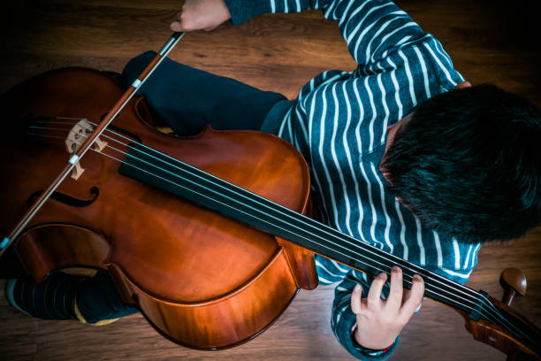 violin string instrument played with bow orchestra music and classical Brazilian fiddle tocar