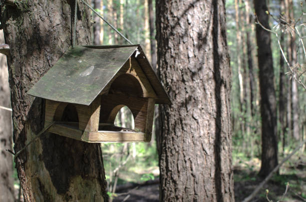istock Wooden bird house hangs on a tree in a green forest 1148790671