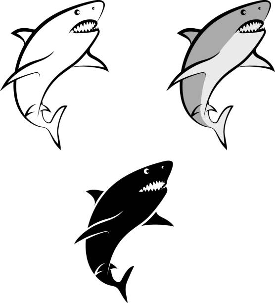 shark isolated shark - clip art illustration and line art tiger shark stock illustrations