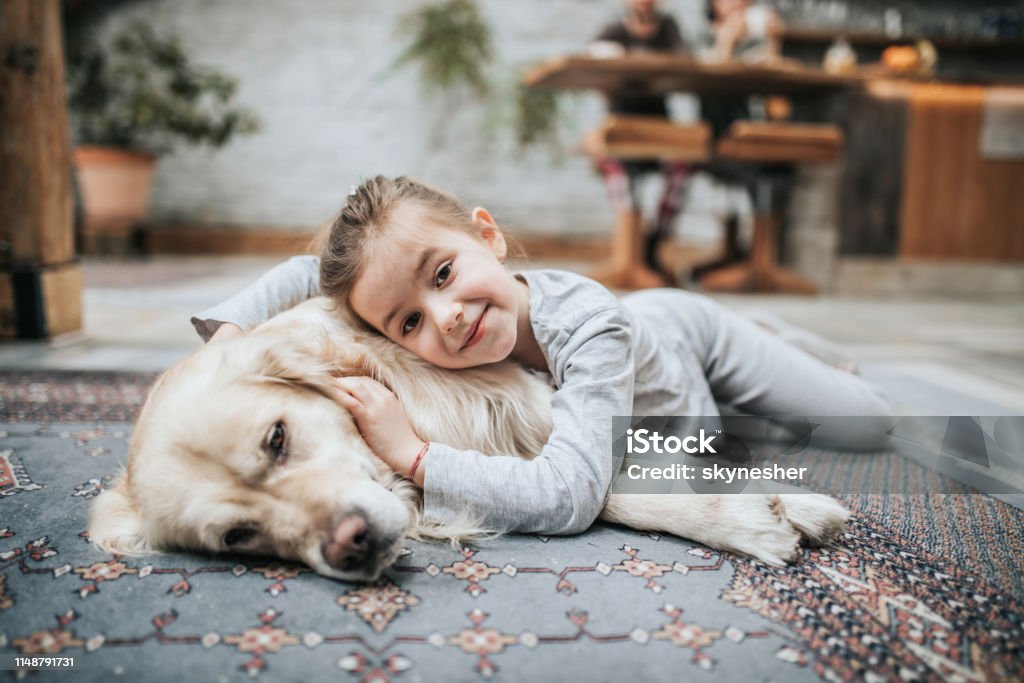 Smiling girl and her golden retriever on carpet at home. Cute little girl relaxing with her dog on carpet at home and looking at camera. Child Stock Photo