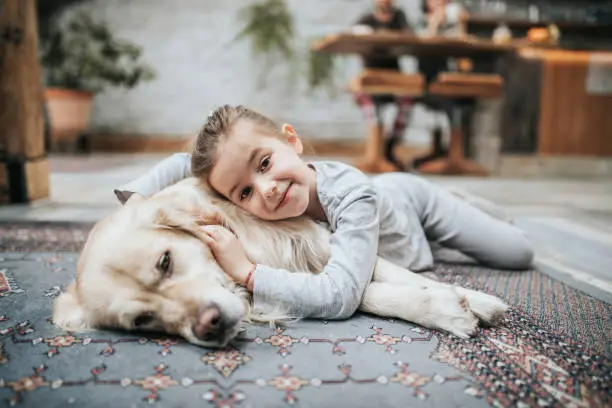 Photo of Smiling girl and her golden retriever on carpet at home.