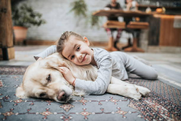 menina de sorriso e seu retriever dourado no tapete em casa. - pets embracing one person portrait - fotografias e filmes do acervo