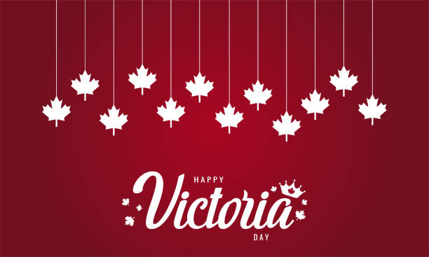 dzień wiktorii - canada canadian culture leaf maple stock illustrations