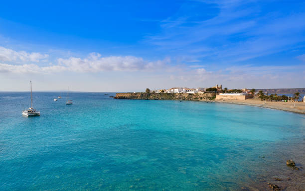 istock Nova Tabarca beach in Alicante Spain 1148792751