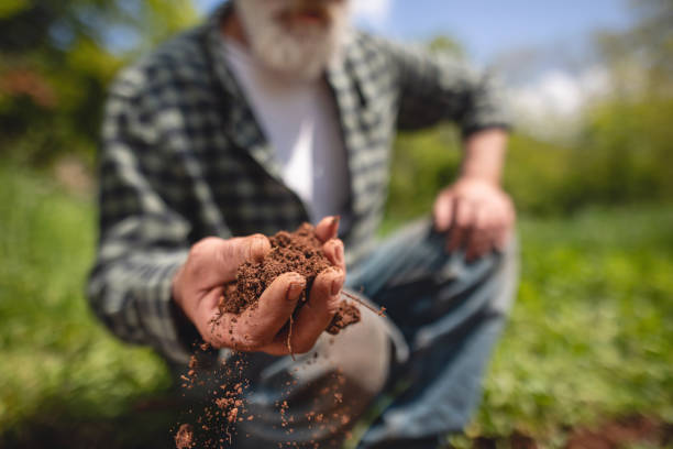 istock Look deep into the nature, and all your questions will be answered! 1148792807
