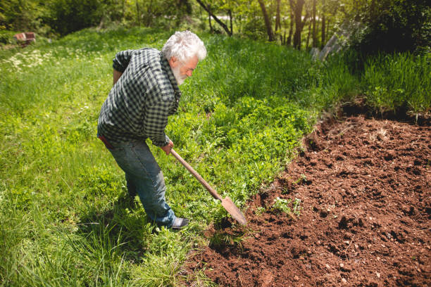 istock Senior man digging up fertile soil in his backyard so he could make a garden 1148792863