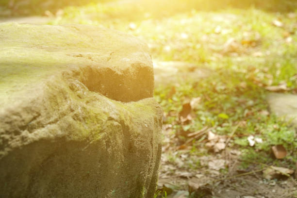 istock Stone in the park. Natural scenery in sunny day. 1148795233